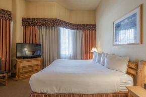 Cozy Pet-Friendly King Studio in Mt, Crested Butte condo Crested Butte